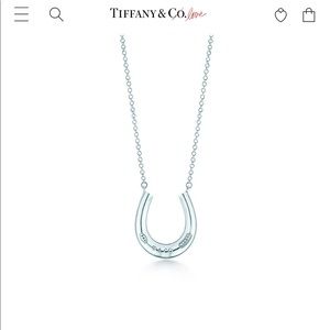 Tiffany & Co Horseshoe Necklace